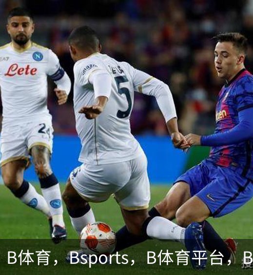走进B体育，Bsports，B体育平台，B体育下载